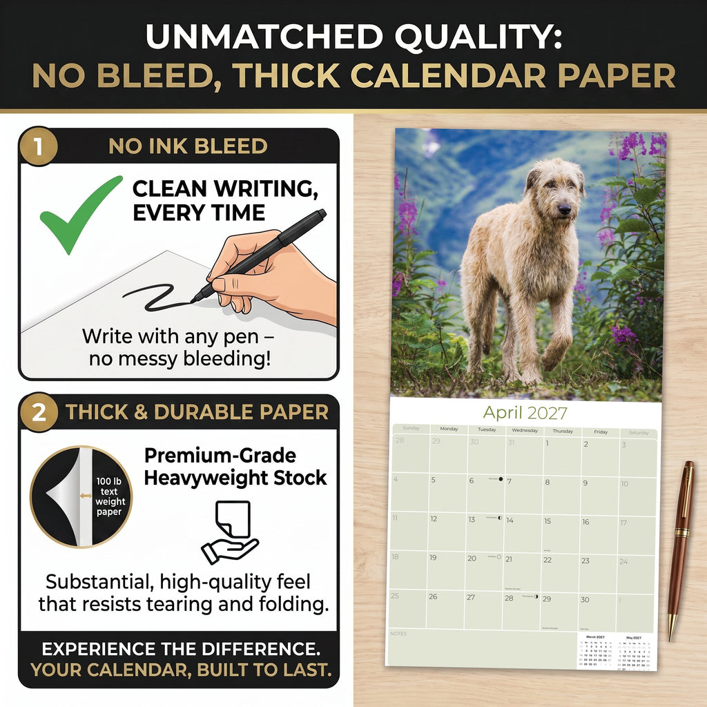 Irish Wolfhound Wall Calendar 2027 - 12" x 12" Monthly Noble Giant & Wire-Coated Sighthound Breed Calendar