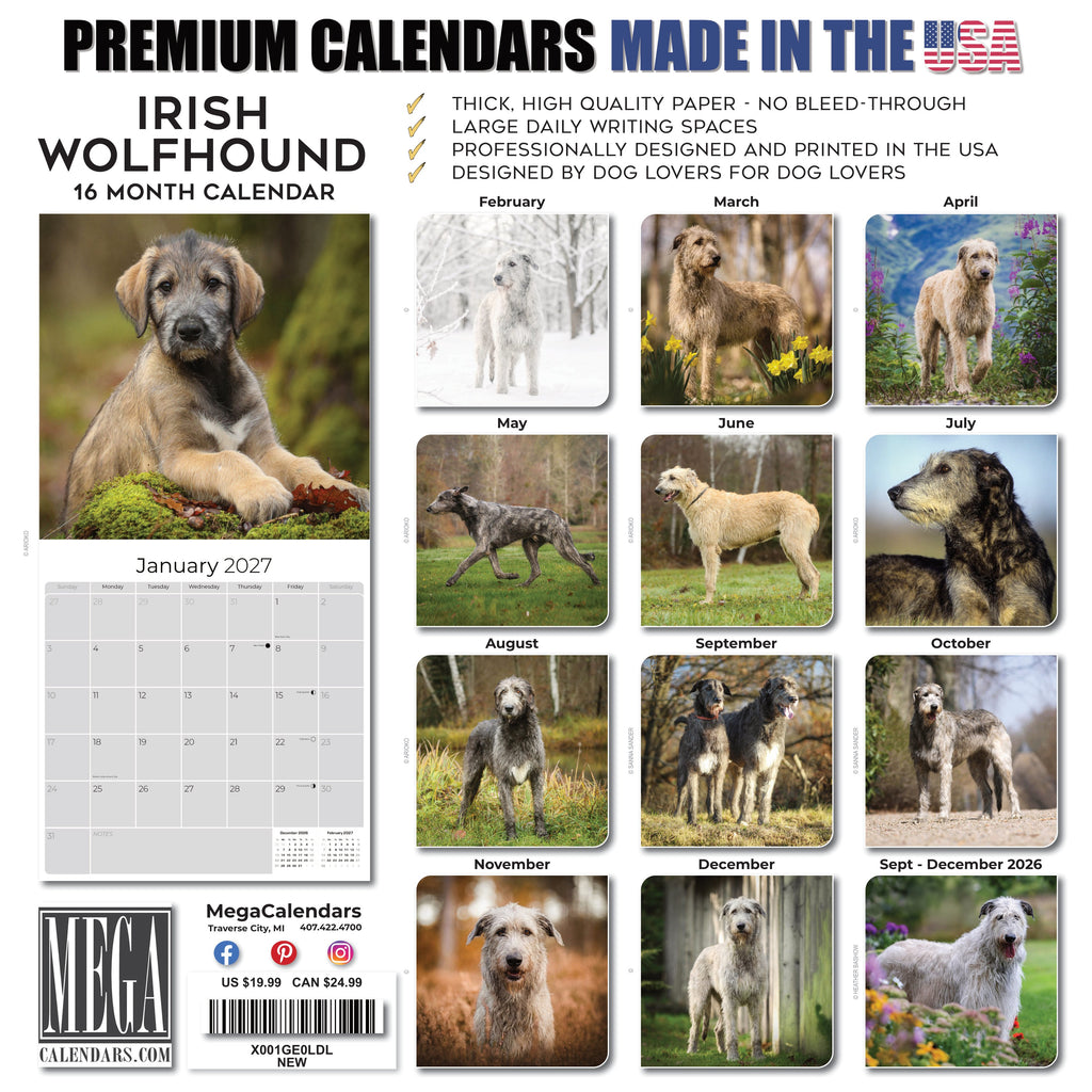 Irish Wolfhound Wall Calendar 2027 - 12" x 12" Monthly Noble Giant & Wire-Coated Sighthound Breed Calendar