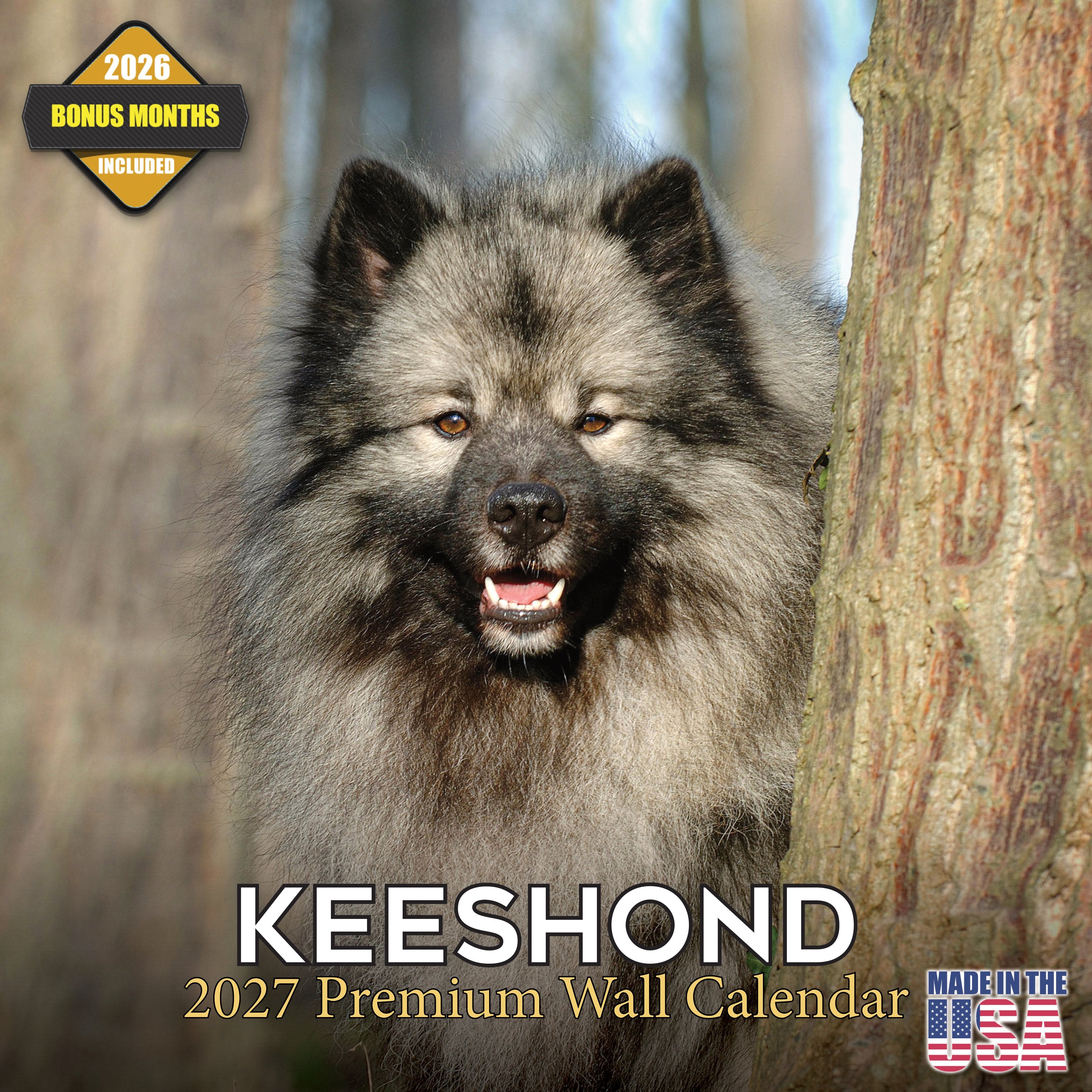 Keeshond Wall Calendar 2027 - 12