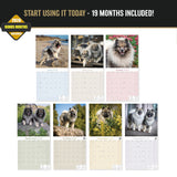 Keeshond Wall Calendar 2027 - 12" x 12" Monthly Plush Silver-Grey & Smiling Spitz Companion Calendar