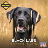 Black Labrador Retriever Wall Calendar 2027 - 12" x 12" Monthly Loyal Black Lab Sporting Breed Calendar