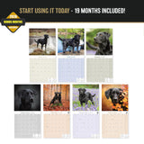 Black Labrador Retriever Wall Calendar 2027 - 12" x 12" Monthly Loyal Black Lab Sporting Breed Calendar