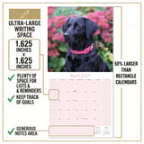 Black Labrador Retriever Wall Calendar 2027 - 12" x 12" Monthly Loyal Black Lab Sporting Breed Calendar