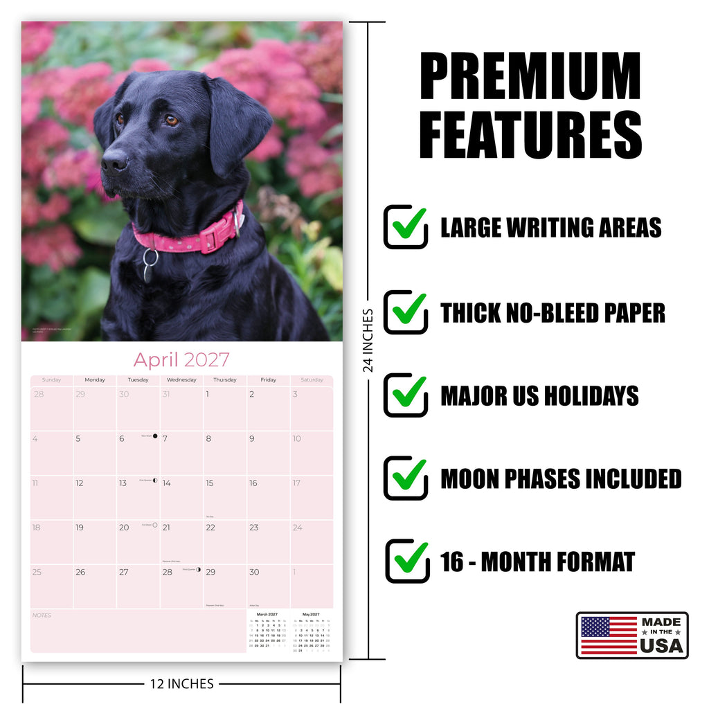 Black Labrador Retriever Wall Calendar 2027 - 12" x 12" Monthly Loyal Black Lab Sporting Breed Calendar