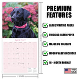 Black Labrador Retriever Wall Calendar 2027 - 12" x 12" Monthly Loyal Black Lab Sporting Breed Calendar