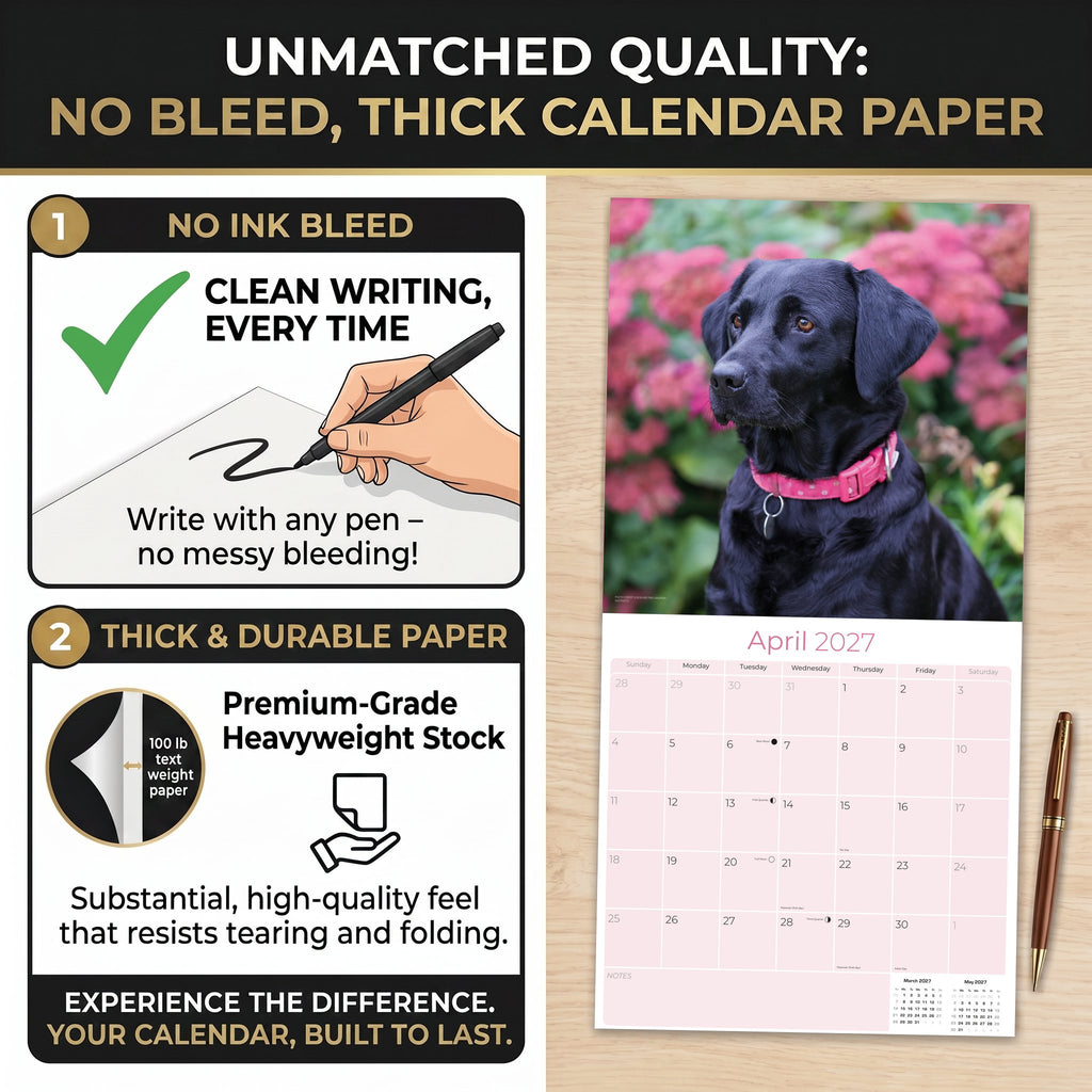 Black Labrador Retriever Wall Calendar 2027 - 12" x 12" Monthly Loyal Black Lab Sporting Breed Calendar
