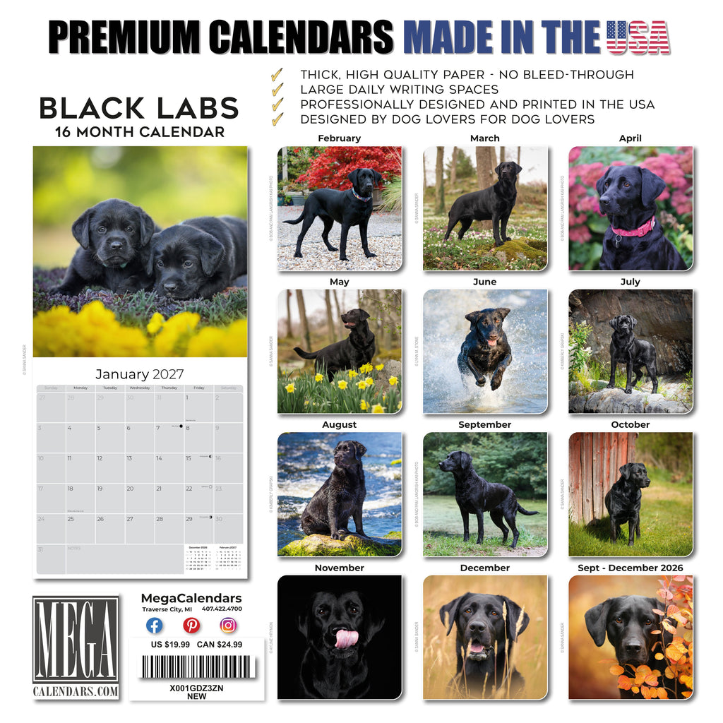 Black Labrador Retriever Wall Calendar 2027 - 12" x 12" Monthly Loyal Black Lab Sporting Breed Calendar