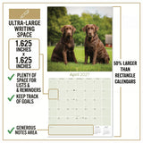 Chocolate Labrador Retriever Wall Calendar 2027 - 12" x 12" Monthly Loyal Chocolate Lab Sporting Breed Calendar
