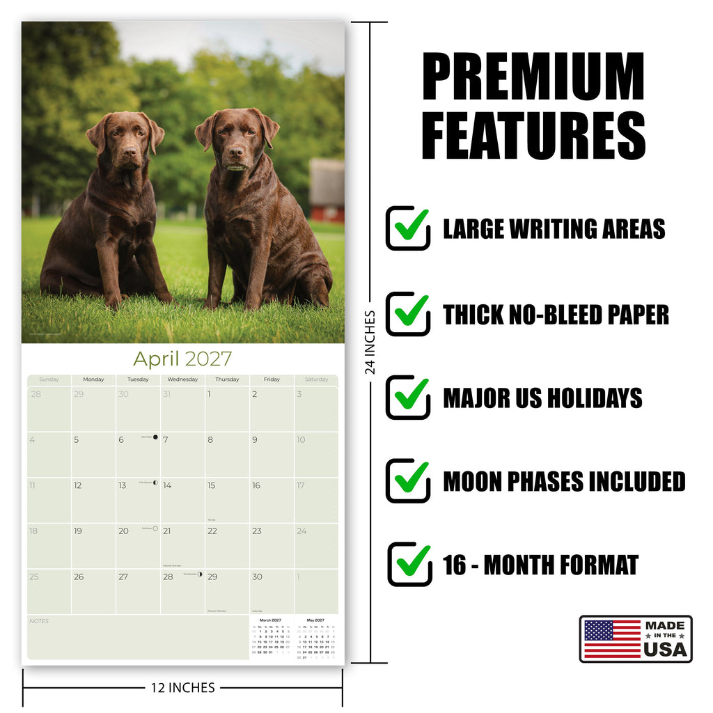 Chocolate Labrador Retriever Wall Calendar 2027 - 12" x 12" Monthly Loyal Chocolate Lab Sporting Breed Calendar