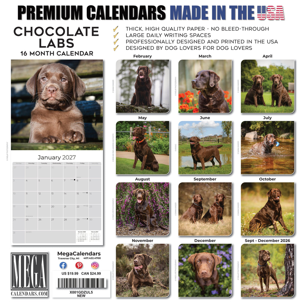 Chocolate Labrador Retriever Wall Calendar 2027 - 12" x 12" Monthly Loyal Chocolate Lab Sporting Breed Calendar