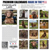 Chocolate Labrador Retriever Wall Calendar 2027 - 12" x 12" Monthly Loyal Chocolate Lab Sporting Breed Calendar