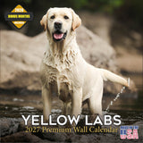 Yellow Labrador Retriever Wall Calendar 2027 - 12" x 12" Monthly Friendly & Devoted Yellow Lab Sporting Breed Calendar