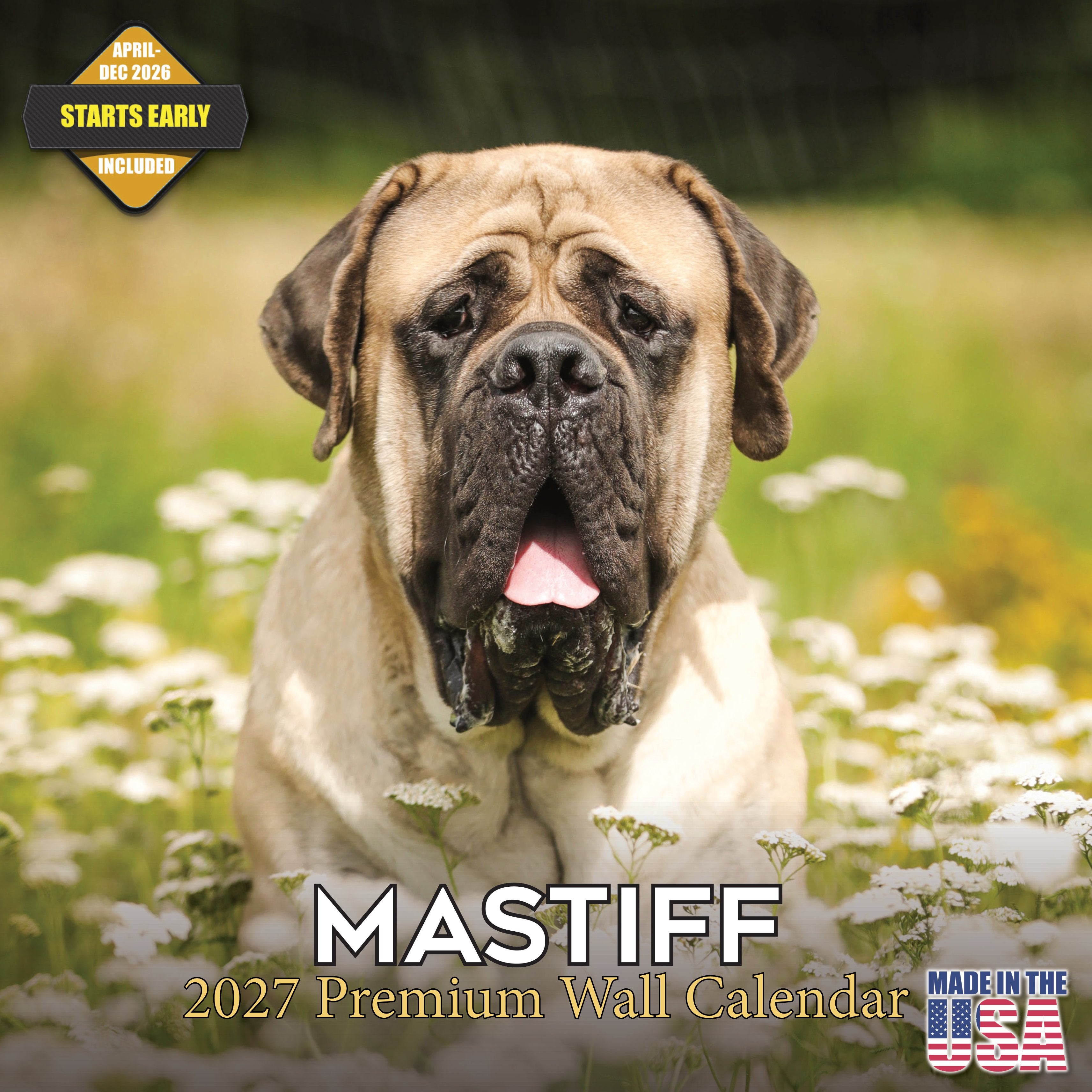 Mastiff Wall Calendar 2027 - 12