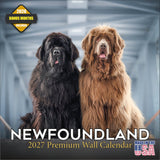 Newfoundland Wall Calendar 2027 - 12" x 12" Monthly Loyal Life-Saving & Plush Newfie Giant Calendar