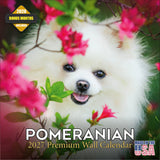 Pomeranian Wall Calendar 2027 - 12" x 12" Monthly Spirited & Fluffy Pom Pom Toy Dog Breed Calendar
