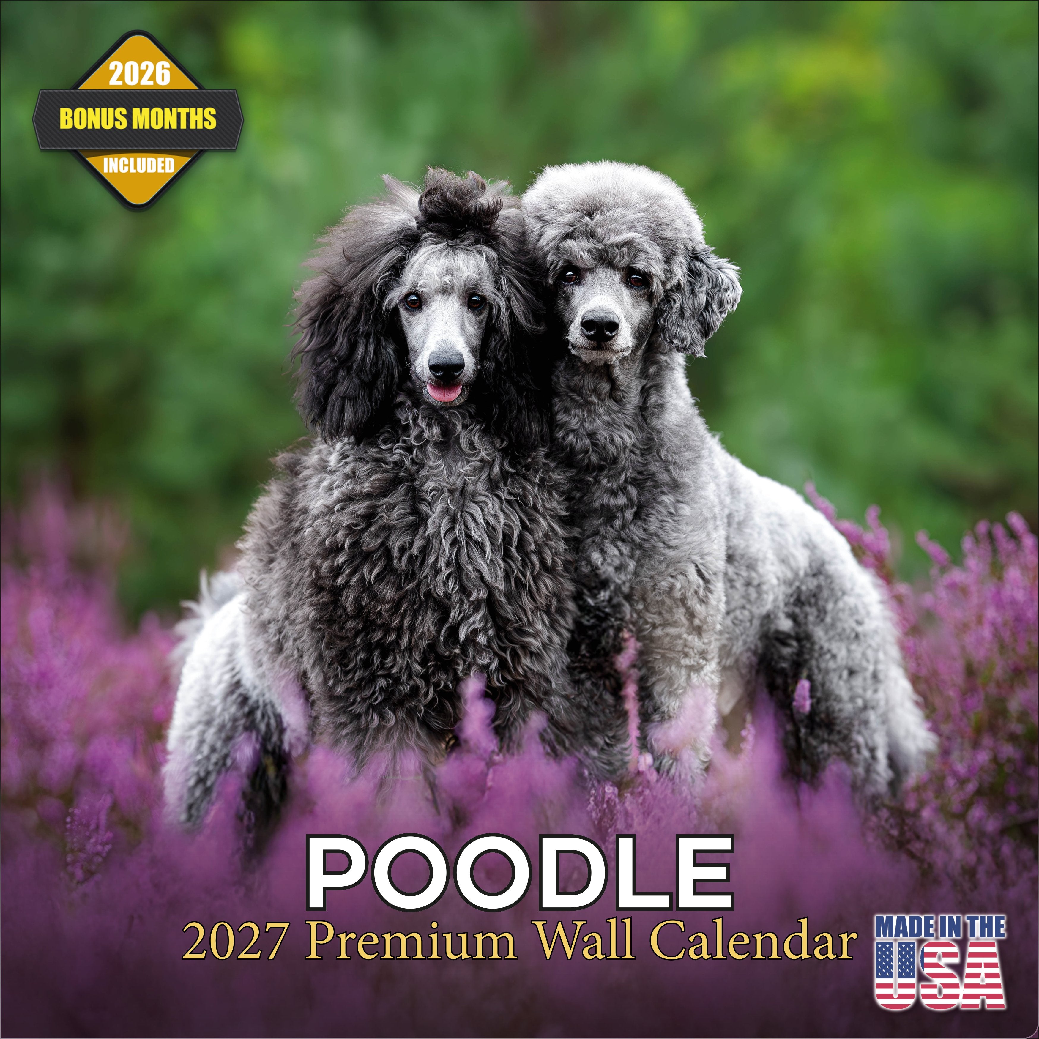 Poodle Wall Calendar 2027 - 12