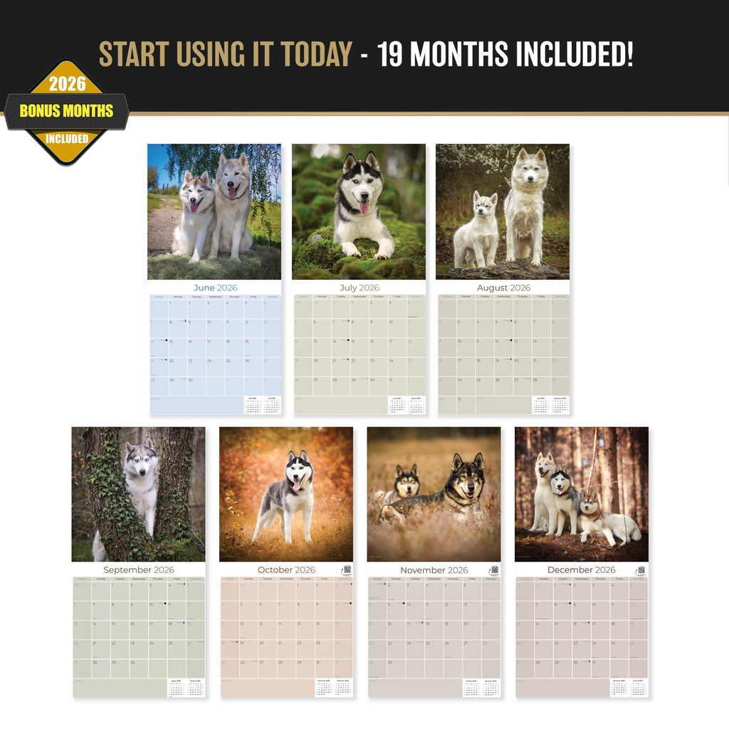 Siberian Husky Wall Calendar 2027 - 12" x 12" Monthly Athletic & Adventurous Husky Dog Breed Calendar