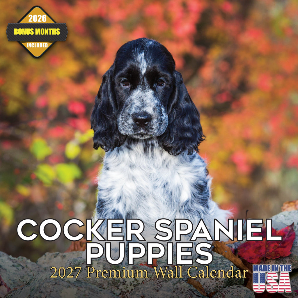 Cocker Spaniel Puppies Wall Calendar 2027 - 12" x 12" Monthly Heartwarming Cocker Spaniel Puppy Breed Art Calendar