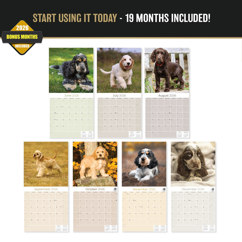 Cocker Spaniel Puppies Wall Calendar 2027 - 12" x 12" Monthly Heartwarming Cocker Spaniel Puppy Breed Art Calendar