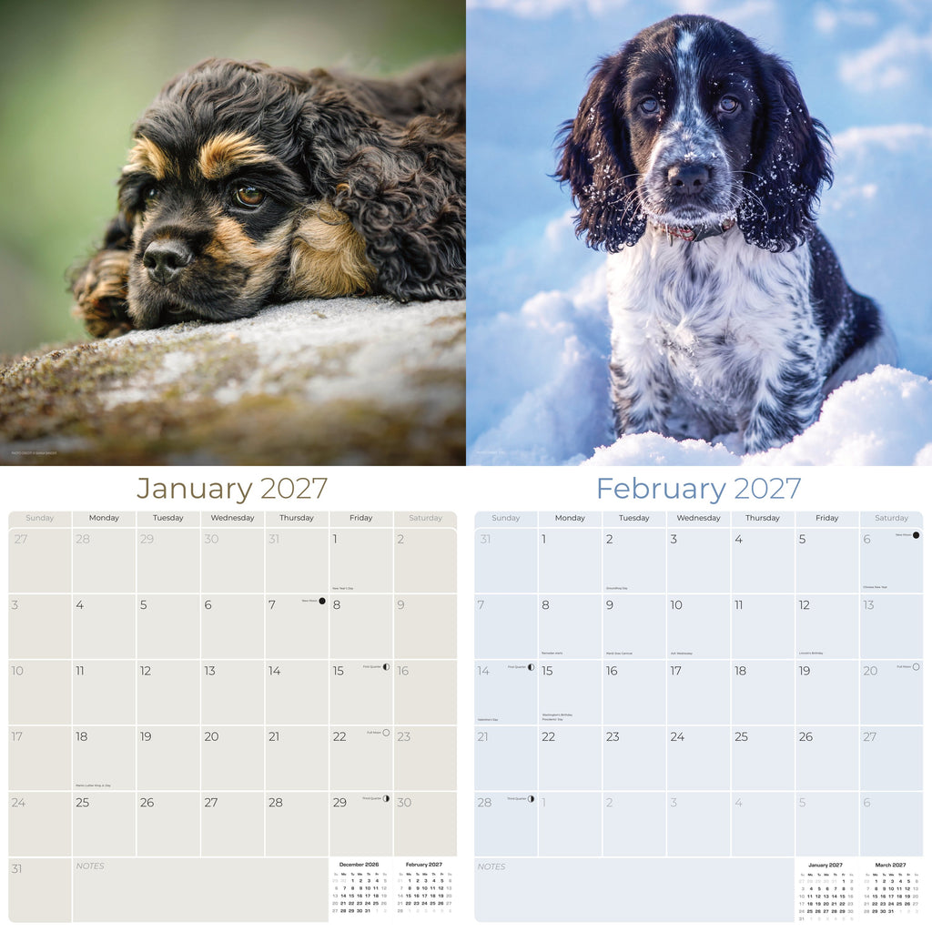 Cocker Spaniel Puppies Wall Calendar 2027 - 12" x 12" Monthly Heartwarming Cocker Spaniel Puppy Breed Art Calendar