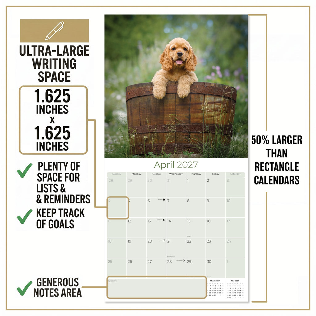 Cocker Spaniel Puppies Wall Calendar 2027 - 12" x 12" Monthly Heartwarming Cocker Spaniel Puppy Breed Art Calendar