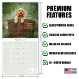 Cocker Spaniel Puppies Wall Calendar 2027 - 12" x 12" Monthly Heartwarming Cocker Spaniel Puppy Breed Art Calendar