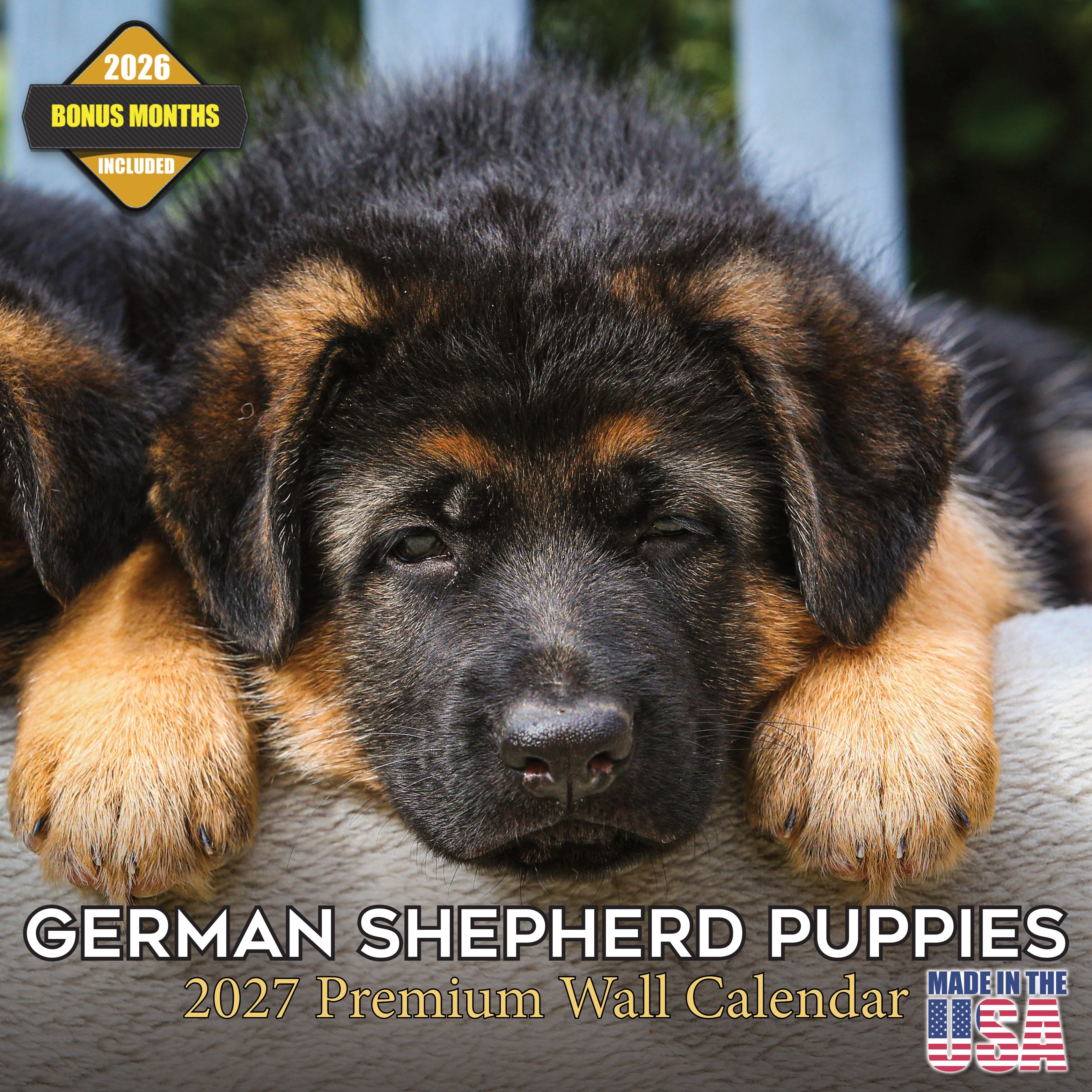 German Shepherd Puppies Wall Calendar 2027 - 12