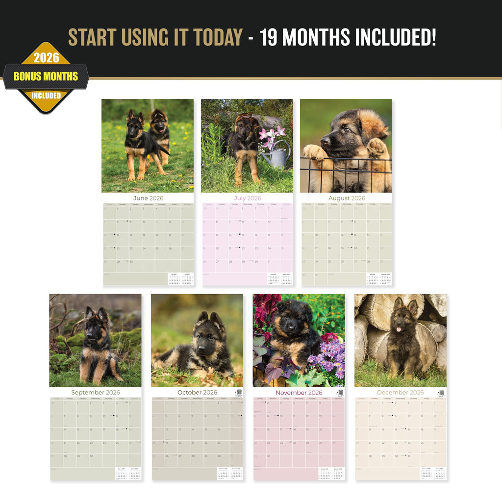German Shepherd Puppies Wall Calendar 2027 - 12" x 12" Monthly Heartwarming GSD Puppy & Fluffy Shepherd Cub Calendar
