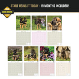German Shepherd Puppies Wall Calendar 2027 - 12" x 12" Monthly Heartwarming GSD Puppy & Fluffy Shepherd Cub Calendar