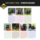 Black Labrador Puppies Wall Calendar 2027 - 12" x 12" Monthly Heartwarming Black Lab Puppy Art Calendar