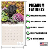 Black Labrador Puppies Wall Calendar 2027 - 12" x 12" Monthly Heartwarming Black Lab Puppy Art Calendar
