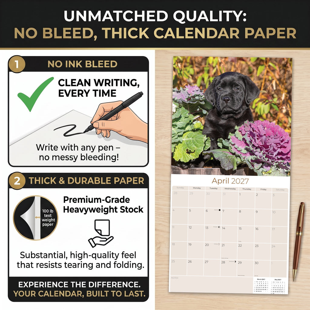 Black Labrador Puppies Wall Calendar 2027 - 12" x 12" Monthly Heartwarming Black Lab Puppy Art Calendar