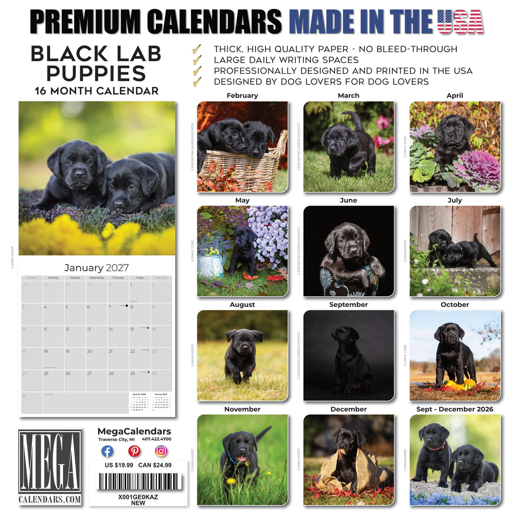 Black Labrador Puppies Wall Calendar 2027 - 12" x 12" Monthly Heartwarming Black Lab Puppy Art Calendar