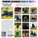 Black Labrador Puppies Wall Calendar 2027 - 12" x 12" Monthly Heartwarming Black Lab Puppy Art Calendar