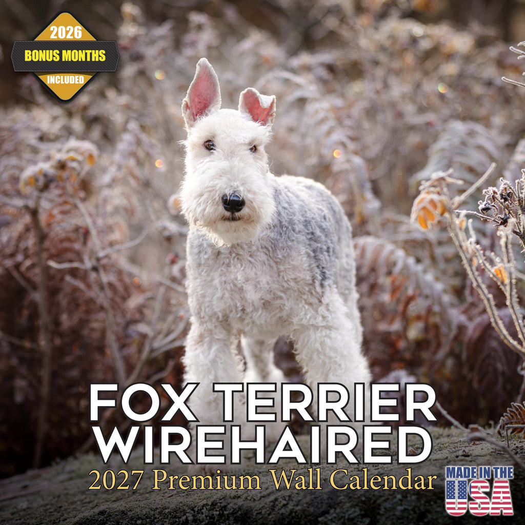 Fox Terrier (Wirehaired) Wall Calendar 2027 - 12" x 12" Monthly Spirited Wire Hair Terrier Dog Breed Calendar
