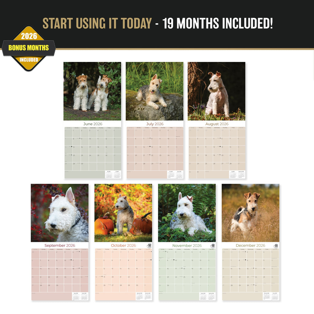 Fox Terrier (Wirehaired) Wall Calendar 2027 - 12" x 12" Monthly Spirited Wire Hair Terrier Dog Breed Calendar