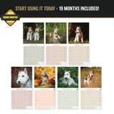Fox Terrier (Wirehaired) Wall Calendar 2027 - 12" x 12" Monthly Spirited Wire Hair Terrier Dog Breed Calendar