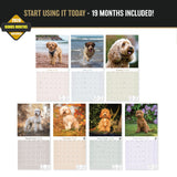 Cockapoo Wall Calendar 2027 - 12" x 12" Monthly Joyful & Affectionate Designer Cocker Poodle Calendar