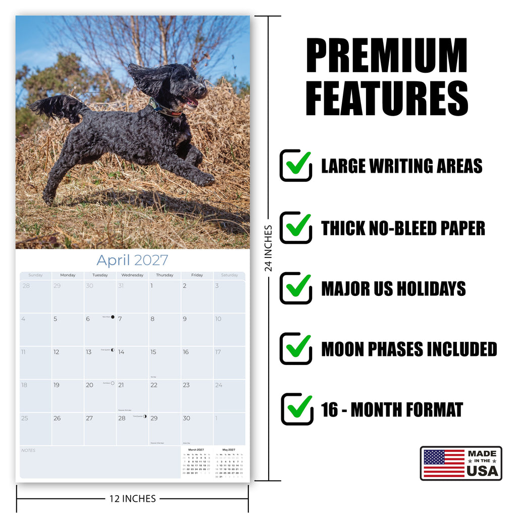 Cockapoo Wall Calendar 2027 - 12" x 12" Monthly Joyful & Affectionate Designer Cocker Poodle Calendar