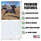 Cockapoo Wall Calendar 2027 - 12" x 12" Monthly Joyful & Affectionate Designer Cocker Poodle Calendar