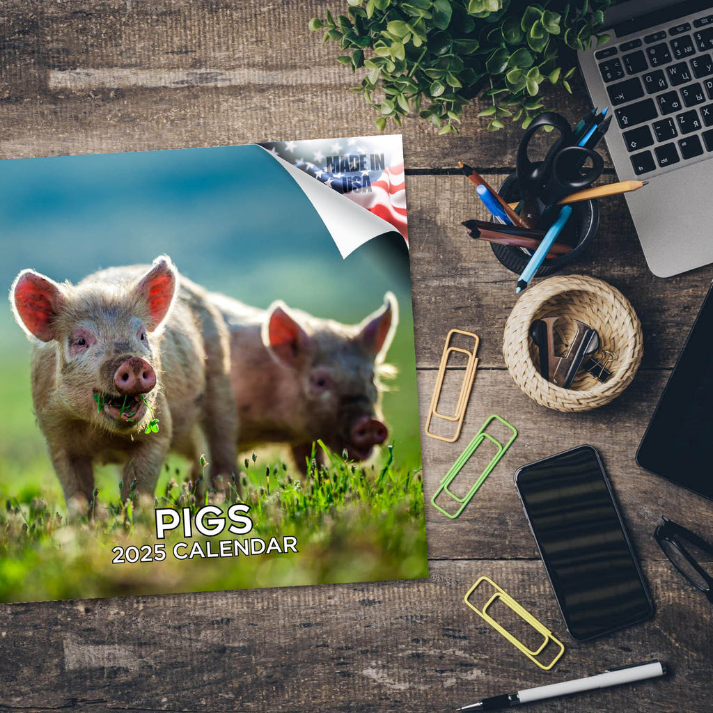 Pigs Wall Calendar 2025