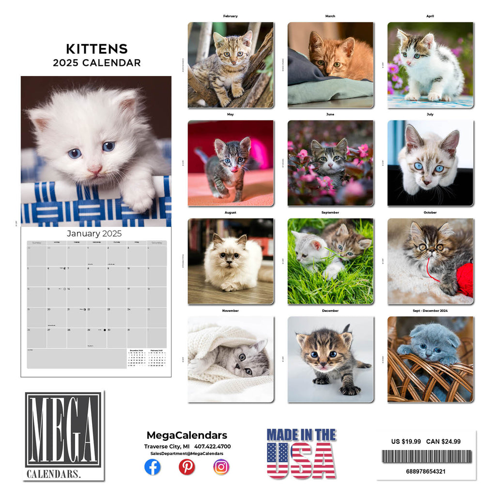 Kittens Wall Calendar 2025