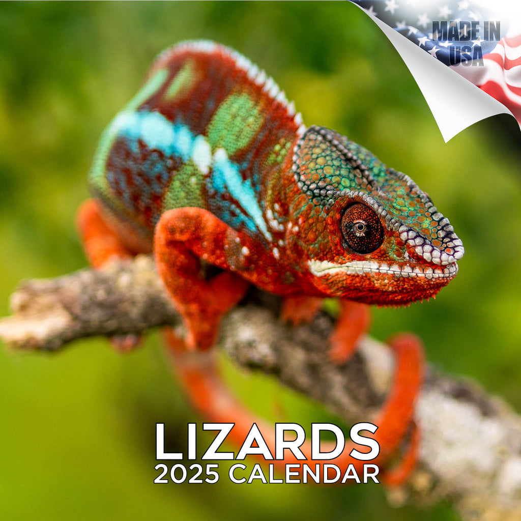 Lizards Wall Calendar 2025