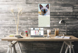 Cats Wall Calendar 2025