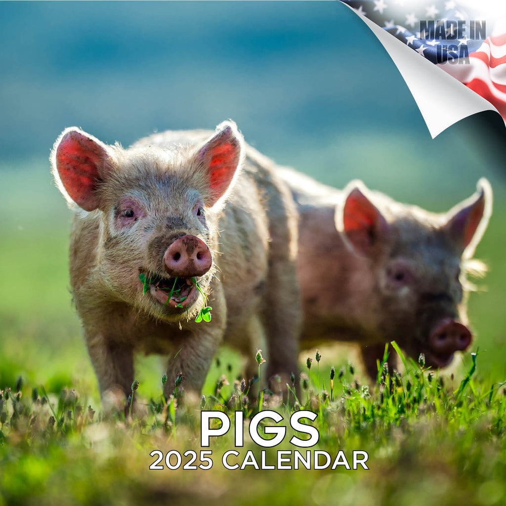 Pigs Wall Calendar 2025