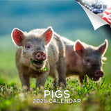 Pigs Wall Calendar 2025