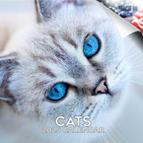 Cats Wall Calendar 2025