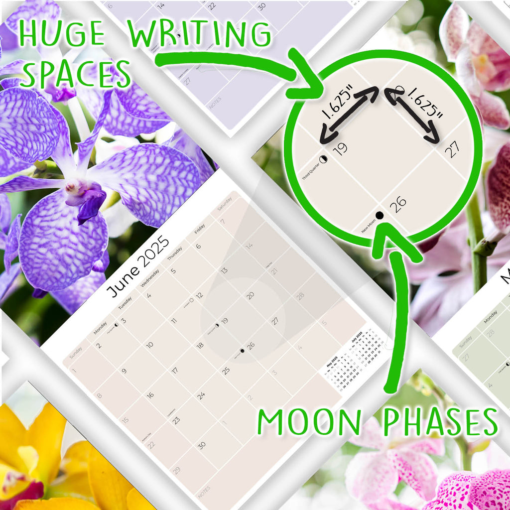 Orchids Wall Calendar 2025