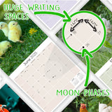 Chickens Wall Calendar 2025