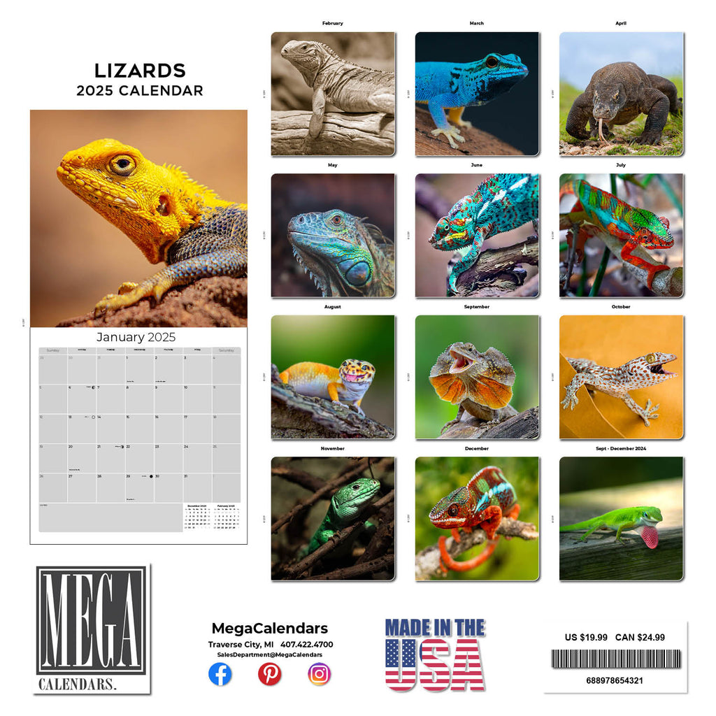 Lizards Wall Calendar 2025